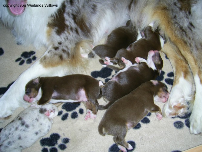 Zum Beenden - Bild anklicken