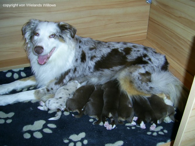 Zum Beenden - Bild anklicken