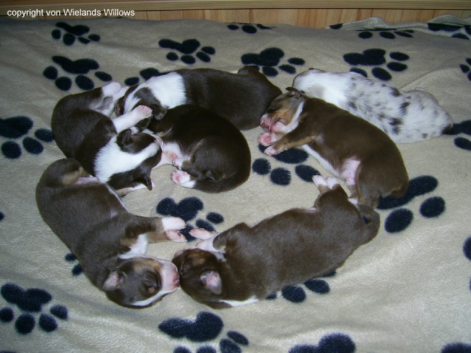 Zum Beenden - Bild anklicken