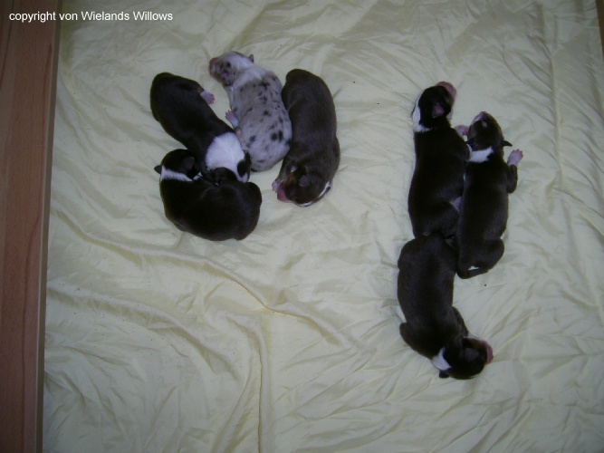 Zum Beenden - Bild anklicken