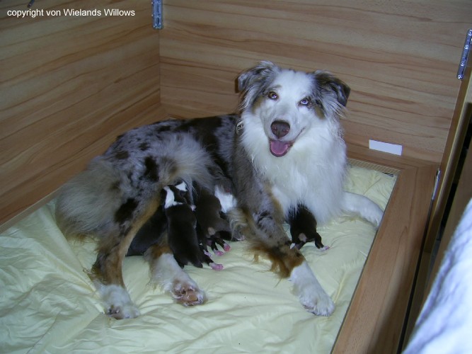 Zum Beenden - Bild anklicken