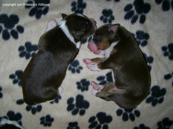 Zum Beenden - Bild anklicken