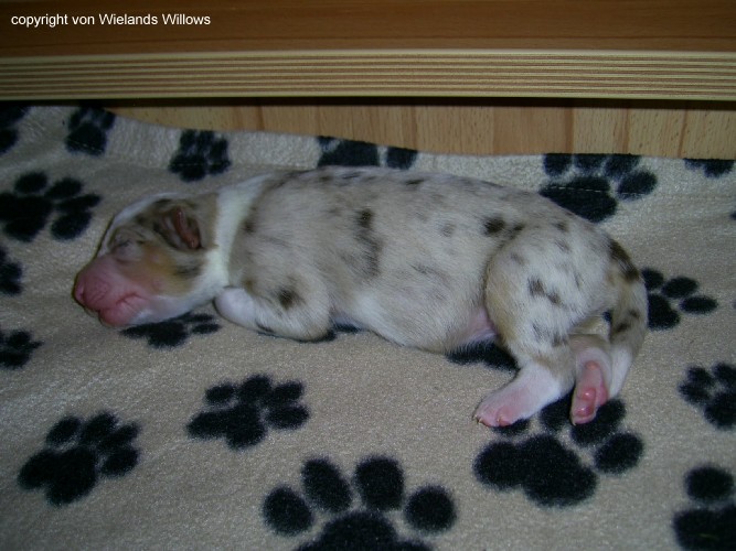 Zum Beenden - Bild anklicken