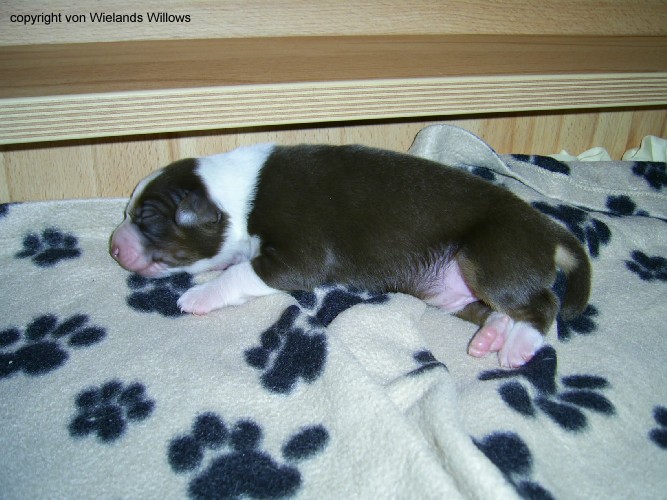 Zum Beenden - Bild anklicken