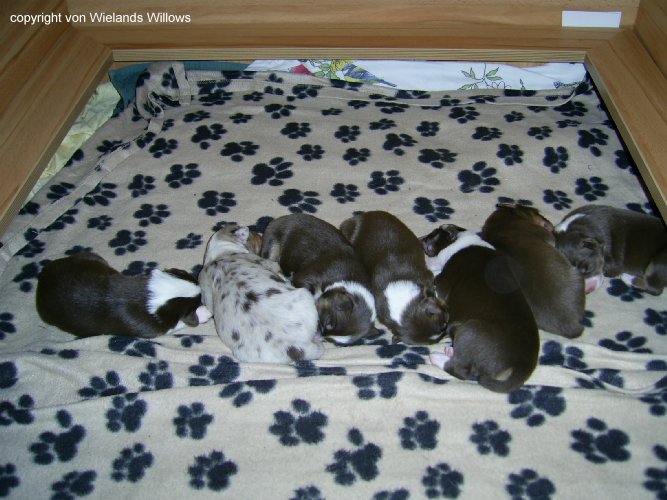 Zum Beenden - Bild anklicken