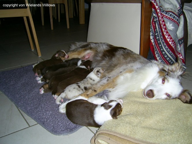 Zum Beenden - Bild anklicken