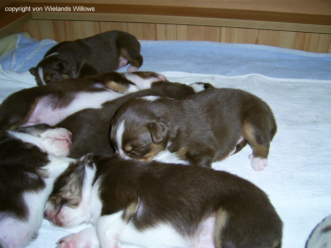 Zum Beenden - Bild anklicken