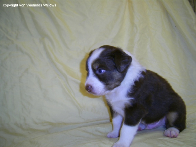 Zum Beenden - Bild anklicken