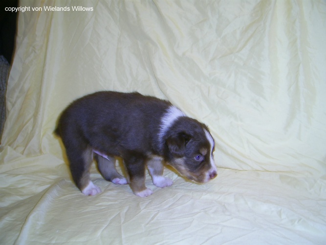 Zum Beenden - Bild anklicken