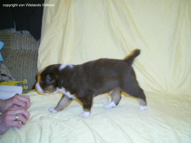 Zum Beenden - Bild anklicken