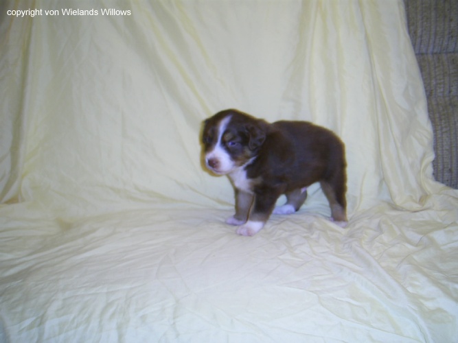 Zum Beenden - Bild anklicken