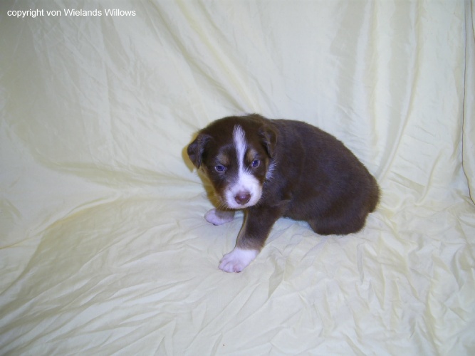 Zum Beenden - Bild anklicken