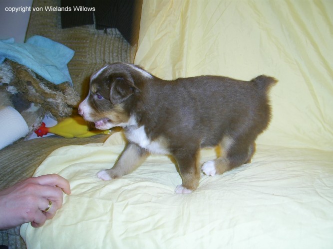 Zum Beenden - Bild anklicken