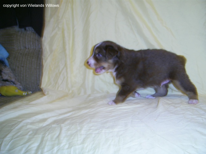 Zum Beenden - Bild anklicken