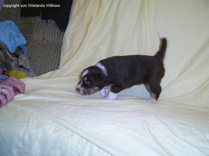 Zum Beenden - Bild anklicken