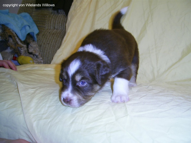 Zum Beenden - Bild anklicken