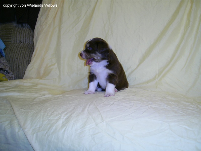 Zum Beenden - Bild anklicken