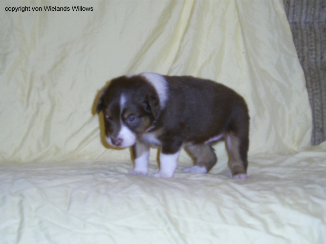 Zum Beenden - Bild anklicken