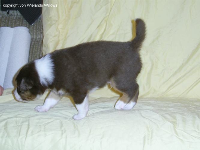 Zum Beenden - Bild anklicken