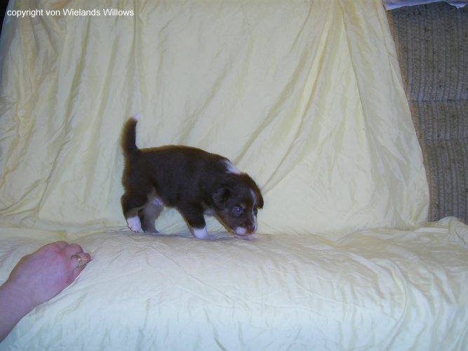 Zum Beenden - Bild anklicken