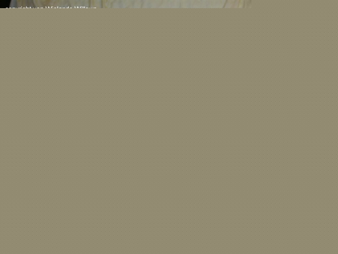 Zum Beenden - Bild anklicken