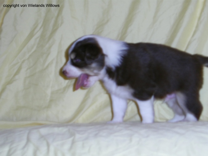 Zum Beenden - Bild anklicken