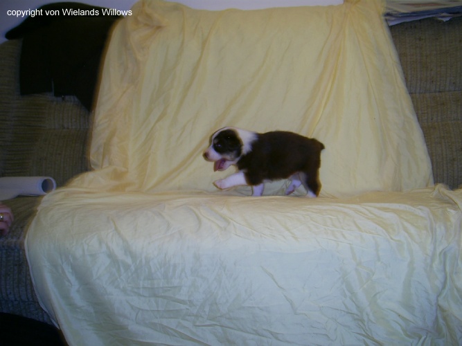 Zum Beenden - Bild anklicken