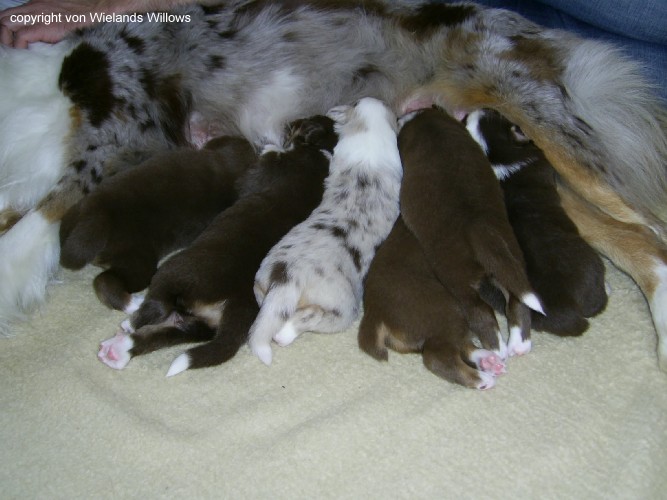 Zum Beenden - Bild anklicken
