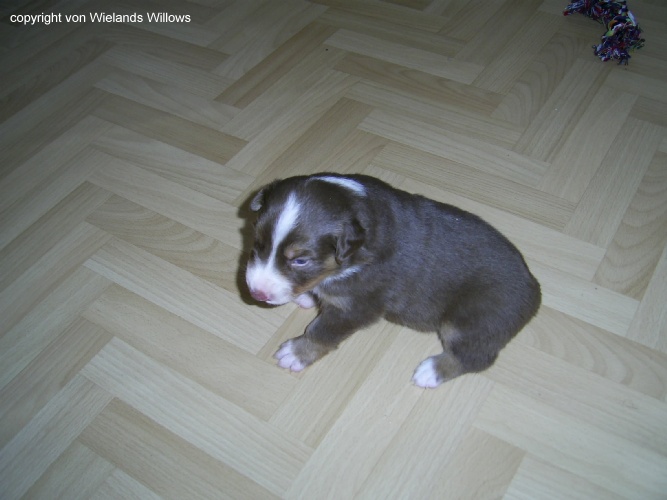 Zum Beenden - Bild anklicken