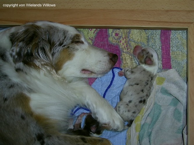 Zum Beenden - Bild anklicken