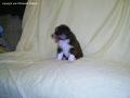 PIC_0144_I3 (23)