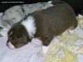 PIC_0144_I3 (8)