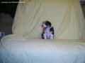 PIC_0144_I3